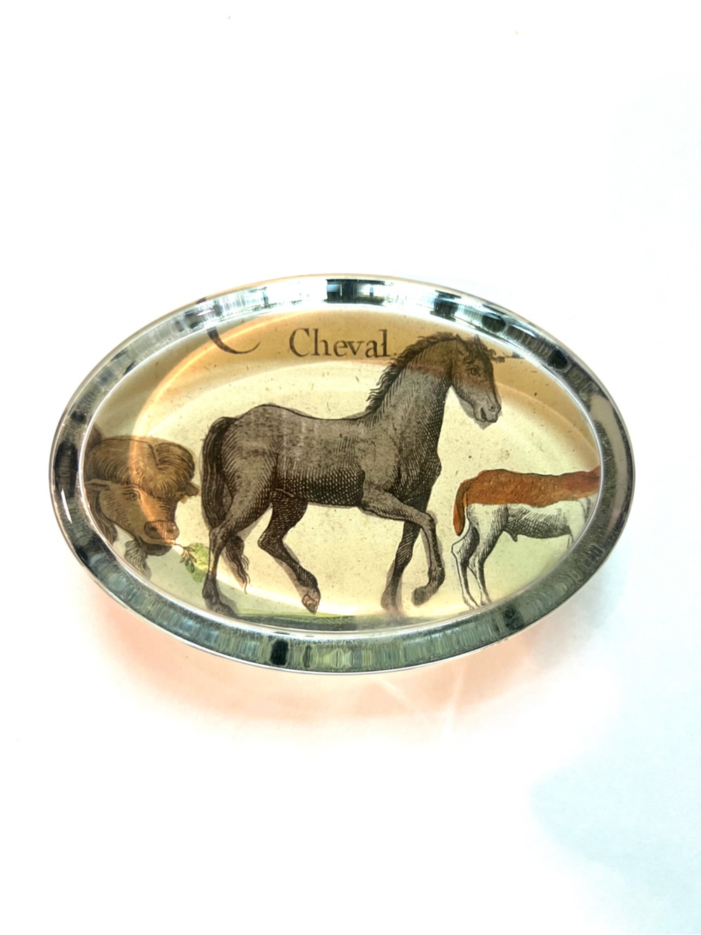 John Derian Cheval Horse Oval Decorative paper weight- Brown and Silver rare